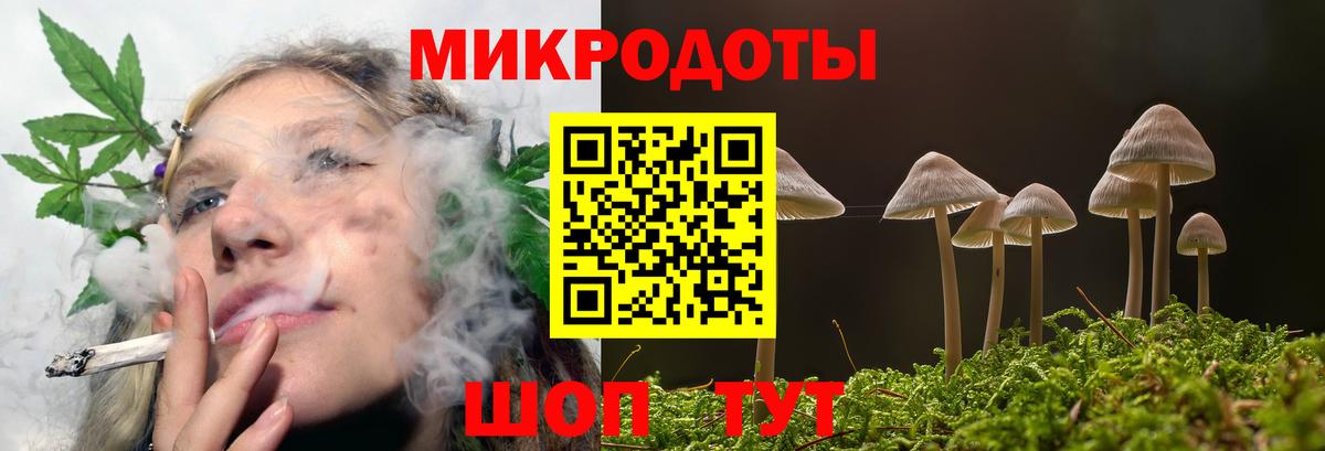 Сызрань  Галлюциногенные грибы прущие грибы  Вход с VPN 